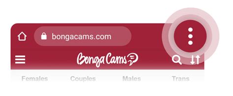 bongacams.com|Видеочат: общение в эрочате в режиме онлайн – BongaCams